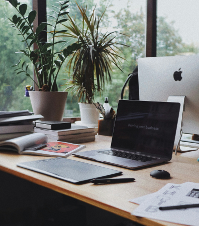 A laptop sitting on an untidy desk, with a large pot plant.